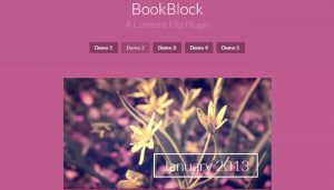 Bookblock Flip Page Plugin